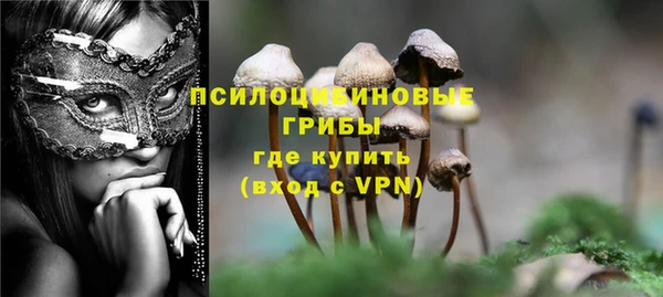 хмурый Абаза