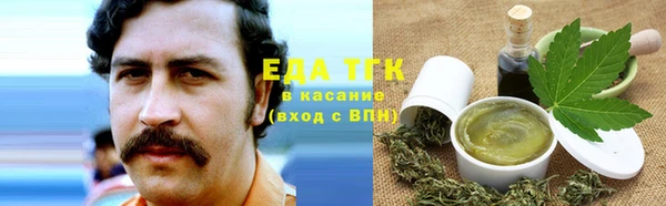 хмурый Абаза