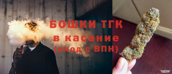 хмурый Абаза