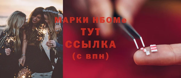 хмурый Абаза
