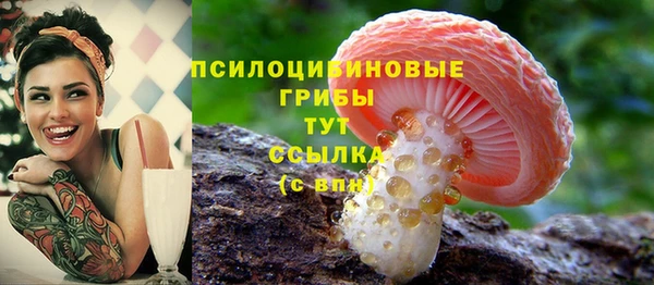 ГАЛЛЮЦИНОГЕННЫЕ ГРИБЫ Абинск