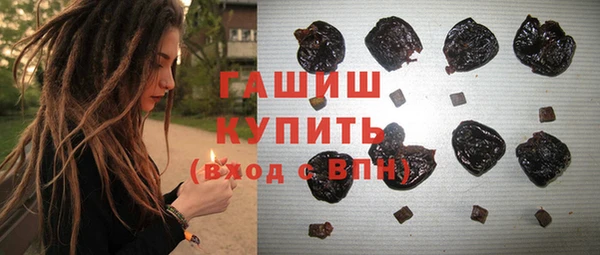 хмурый Абаза